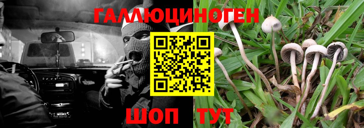 Псилоцибиновые грибы прущие грибы Уссурийск